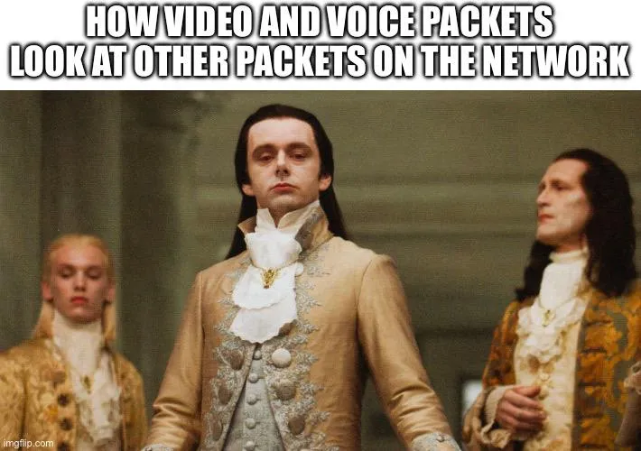 Volturi as video and voice packets looking at other packets on the network